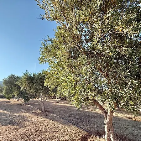 Yaleena Residences לינה וארוחת בוקר