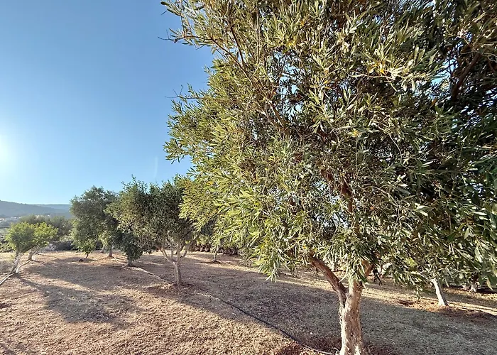 Yaleena Residences Frühstückspension